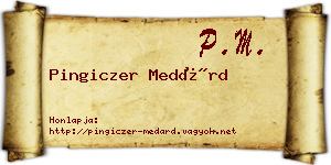 Pingiczer Medárd névjegykártya
